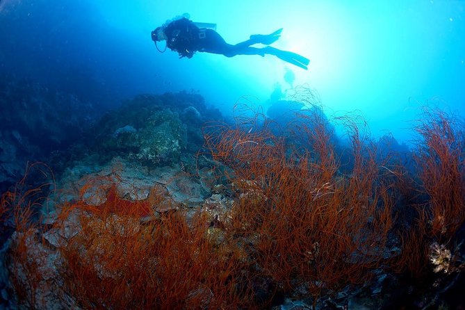 Shore PADI SCUBA Advanced Open Water Course - Why Aqaba works well for advanced scuba training