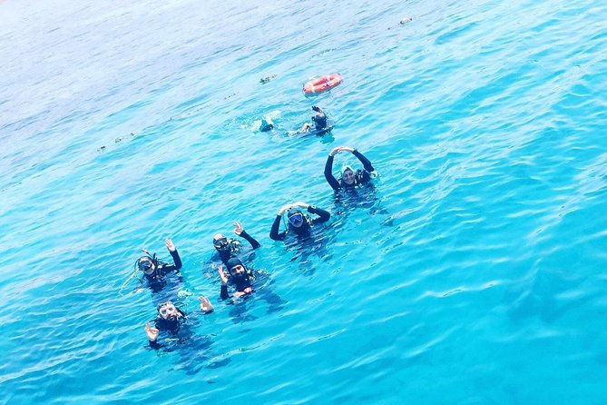 Shore PADI SCUBA Open Water Course - Key points to know before booking