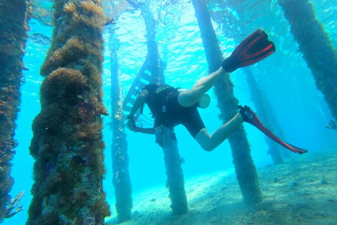 Shore PADI SCUBA Open Water Course - Why shore training suits beginners in Aqaba