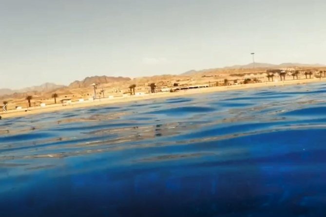Shore Snorkeling - Two hours - Key points to know before you book