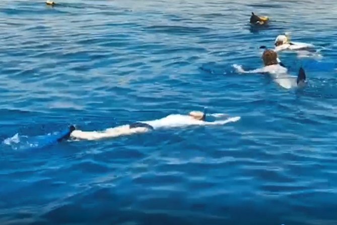 Shore Snorkeling - Two hours - What the two-hour outing looks like