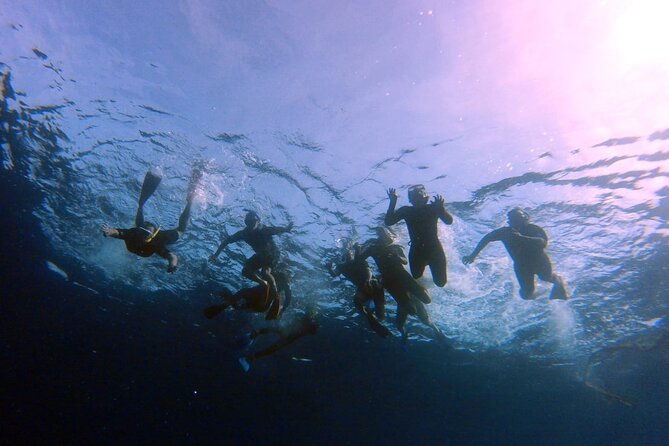 Snorkeling Activity in Aqaba with Lunch and Transportation (Boat) - What this Aqaba boat trip is really like