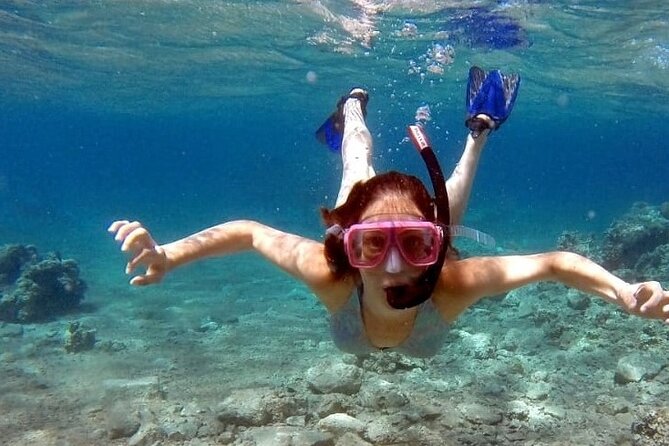 Snorkeling Activity in Aqaba with Lunch and Transportation (Boat) - The snorkeling stops: marine life and unusual wrecks