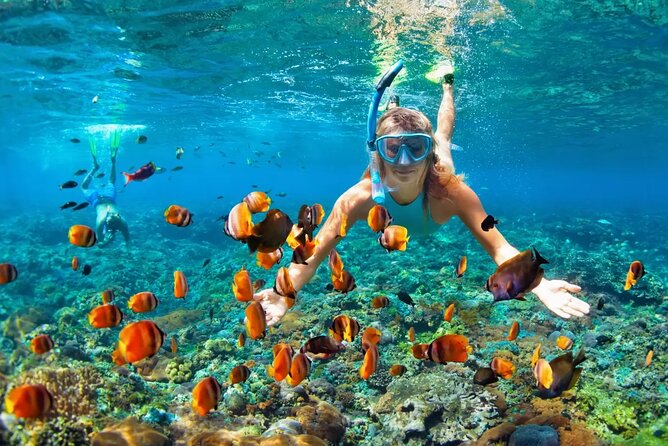 Snorkeling Activity in Aqaba with Lunch and Transportation (Boat) - Timing, weather, and sensible planning