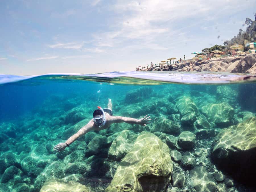 Snorkeling in The Red Sea With Equipment And Free Transfer - Starting near Aqaba Fort