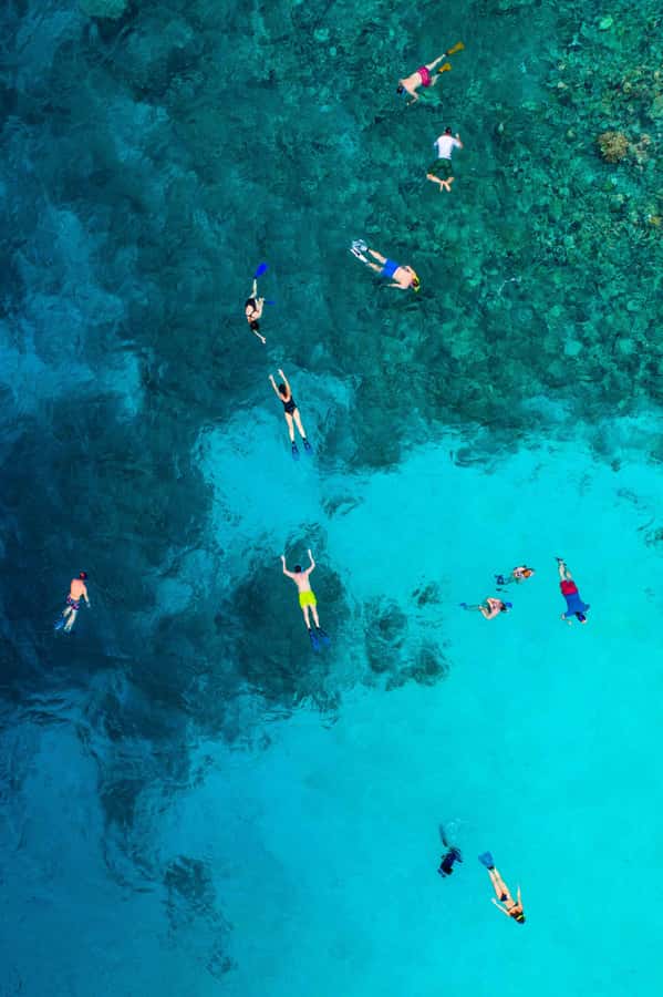 Snorkeling in The Red Sea With Equipment And Free Transfer - Equipment is included, but pack the basics