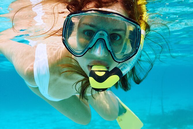 Snorkeling Trip with pick up ( beach) - Starting at Hammerhead Dive Center in Aqaba