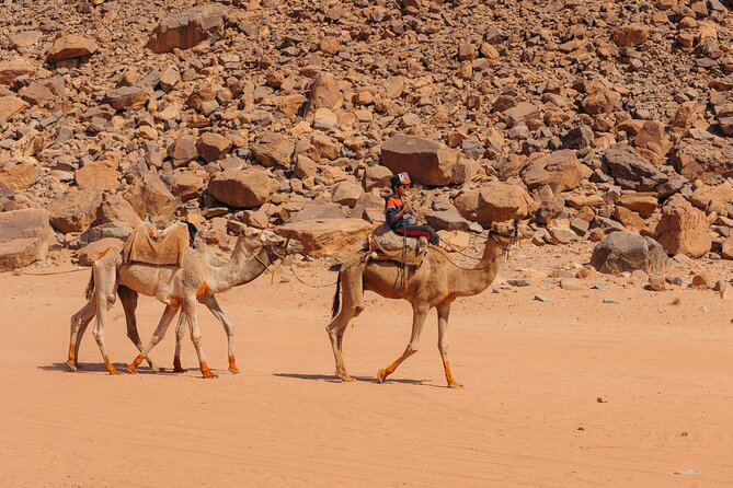 Sunrise & Sunset Tours | Magic Bedouin Star - Tea, coffee, water, and optional Bedouin food