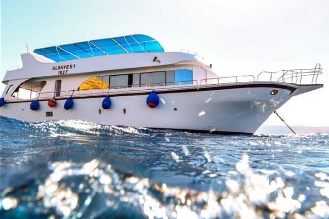 Take advantage of a half-day boat dive experience in Red sea of Aqaba. - Meeting at 9 a.m. in Aqaba