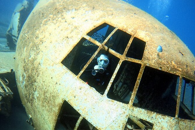 Take advantage of a half-day boat dive experience in Red sea of Aqaba. - What you may see below the surface