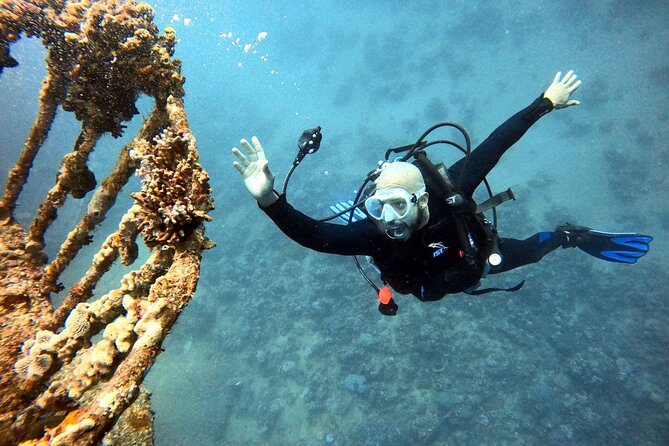 Take advantage of a half-day boat dive experience in Red sea of Aqaba. - Photos and video make the outing easier to remember