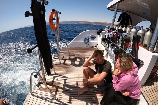 Take advantage of a half-day boat dive experience in Red sea of Aqaba. - Is the $150 price good value?