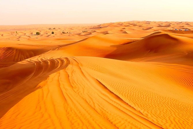 Treasures of Jordan Tour-7 Days Discover Petra & Dead Sea & Wadi Rum with Hotels - Day 4: A 4x4 ride through Wadi Rum