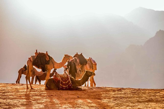 Treasures of Jordan Tour-7 Days Discover Petra & Dead Sea & Wadi Rum with Hotels - Day 5: An unstructured day back in Amman