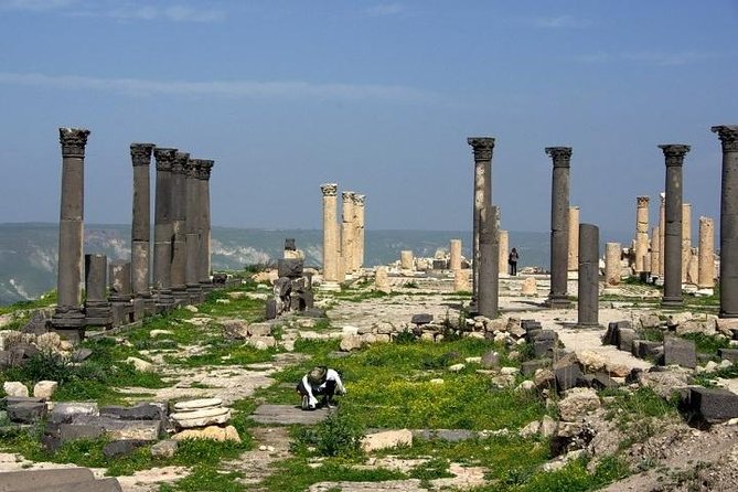 Umm Qais, Ajloun and Jerash Full-Day Tour from Amman - A driver who helps shape the day