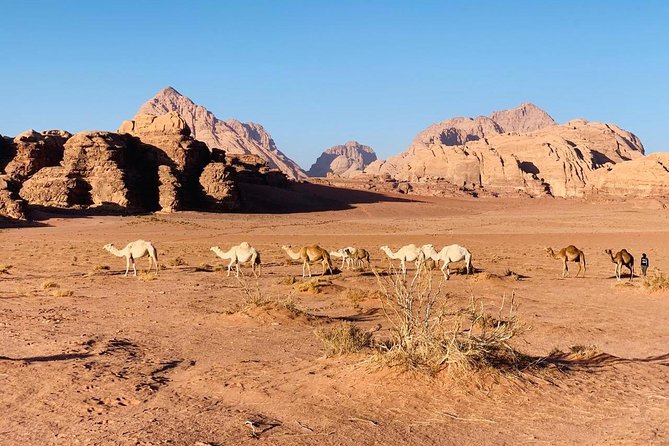 Wade Rum 1/2 Day Tour - Wadi Rum activities need separate planning