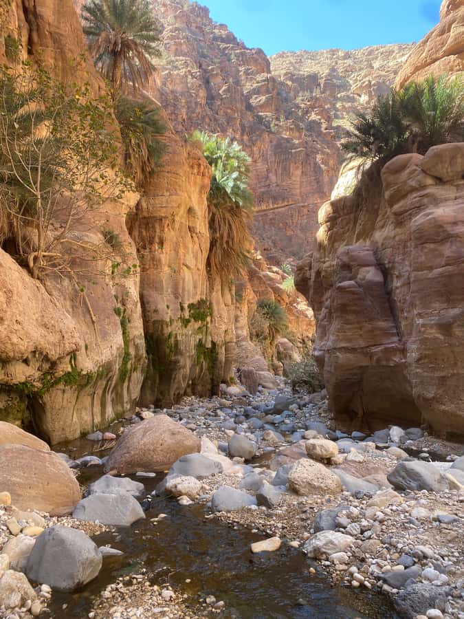 Wadi Ghuweir Full-Day Hike with Local Guide & Lunch. - Key points to know before you book