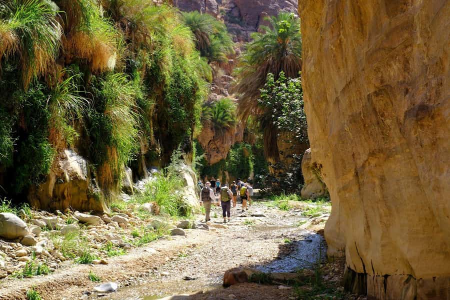 Wadi Ghuweir Full-Day Hike with Local Guide & Lunch. - Walking beside water and sandstone walls