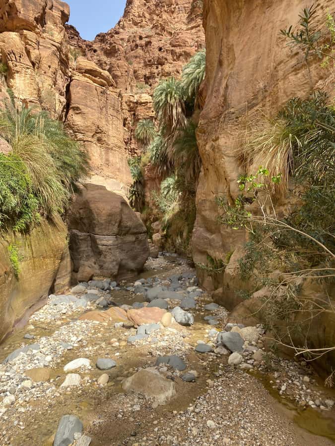 Wadi Ghuweir Full-Day Hike with Local Guide & Lunch. - A Bedouin-cooked lunch in the canyon