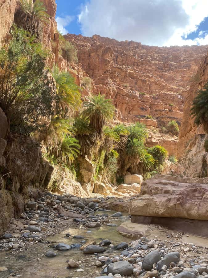 Wadi Ghuweir Full-Day Hike with Local Guide & Lunch. - Starting near Shoupak and reaching the canyon