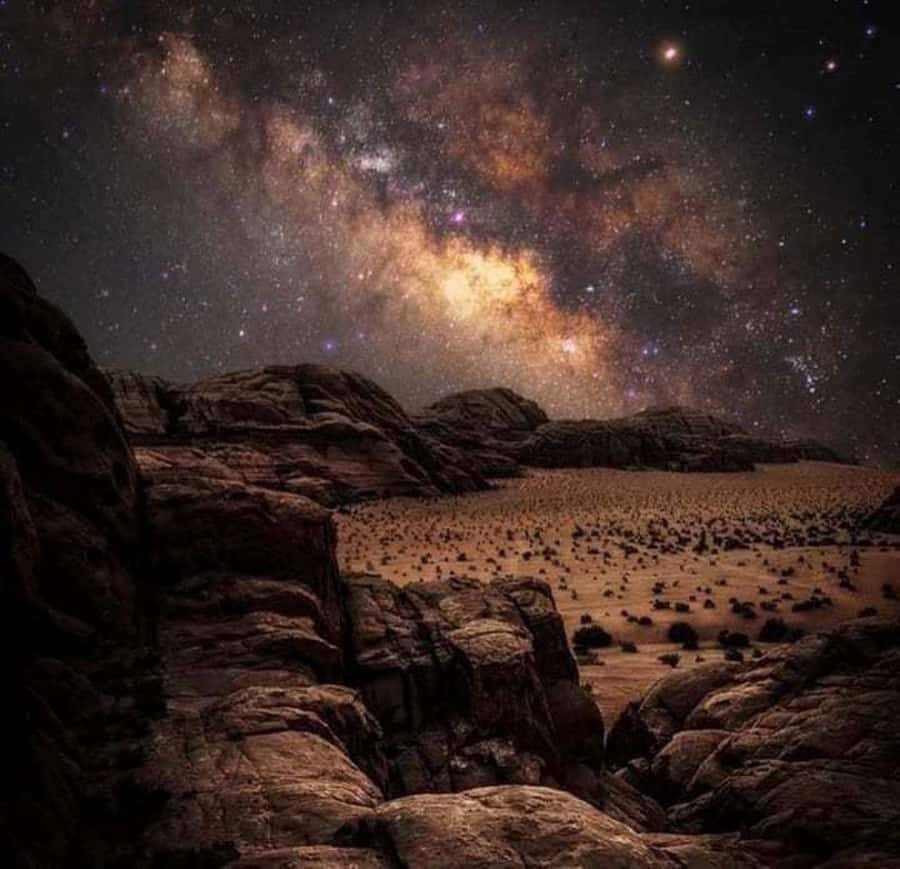 Wadi Rum: 1-Night Jeep Tour with Dinner and Breakfast - Key points to know before booking