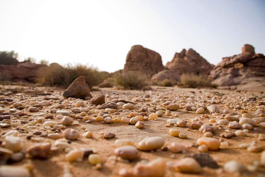 Wadi Rum: 10 Hour Jeep Tour Pass, Camel, Sandbording & Lunch - Key points at a glance