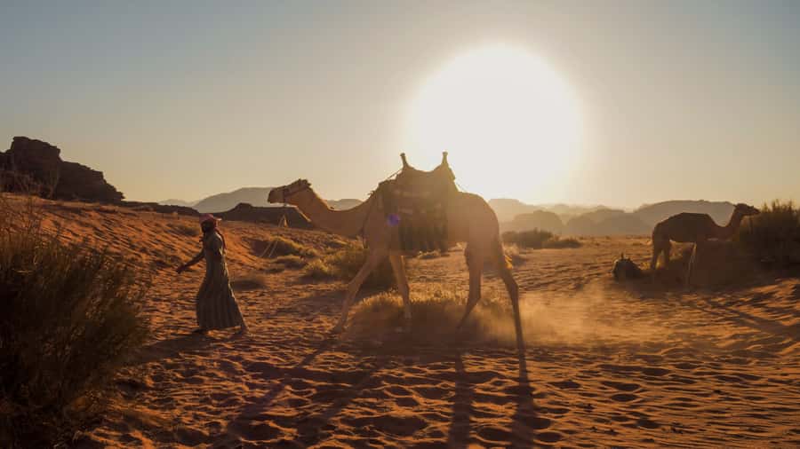 Wadi Rum: 2 Hour Camel Ride at Sunset/Sunrise Overnight - Two hours through the Valley of the Moon