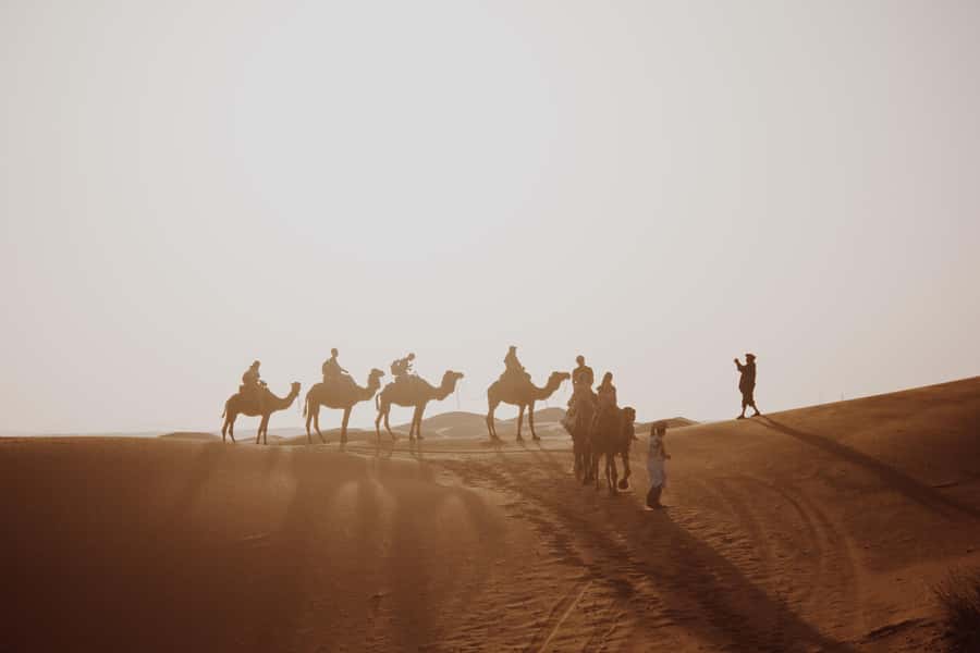 Wadi Rum: 2 Hour Camel Ride at Sunset/Sunrise Overnight - Starting at Wadi Rum Rest House