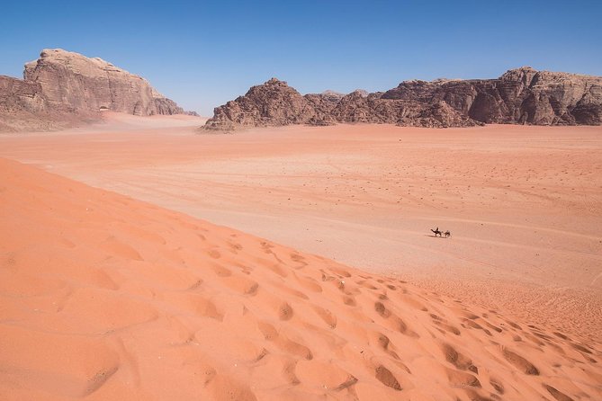 Wadi Rum: 4 Hour Highlights Tour - Who will get the most from this half-day outing