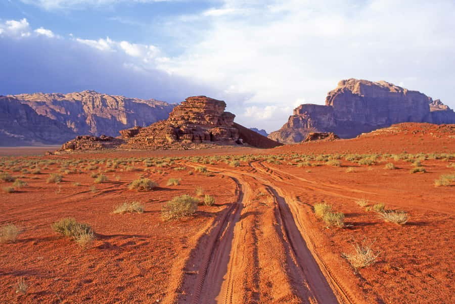 Wadi Rum: Camel Ride with tea and Bedouin Guide - Tea at Al Ramal Red Sand Dune