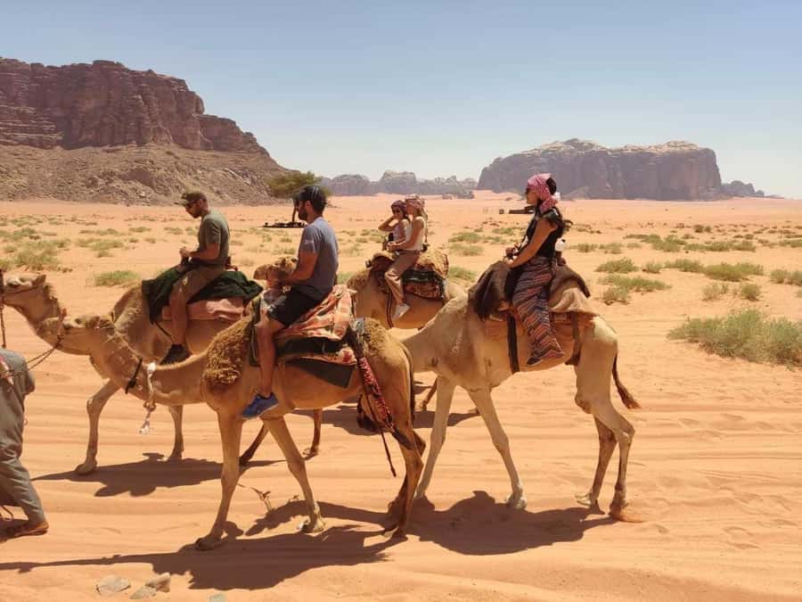 Wadi Rum: Camel Ride with tea and Bedouin Guide - What the high ratings reveal