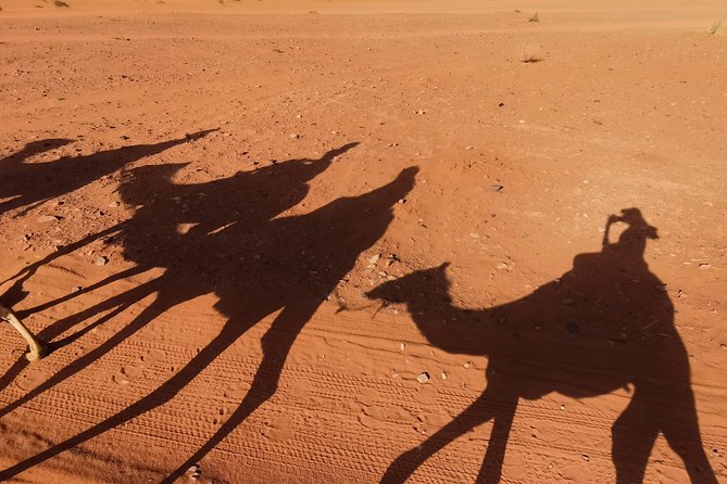 Wadi Rum: Camel Trek Adventure - Why a camel is the right speed for Wadi Rum