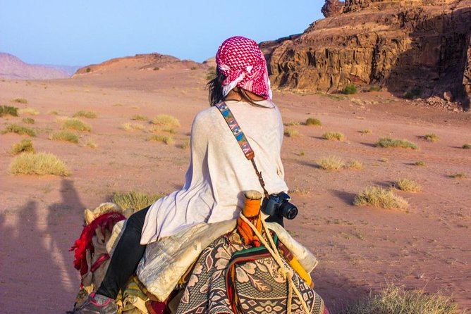 Wadi Rum: Camel Trek Adventure - Ain Abu Aineh, the spring linked with Lawrence