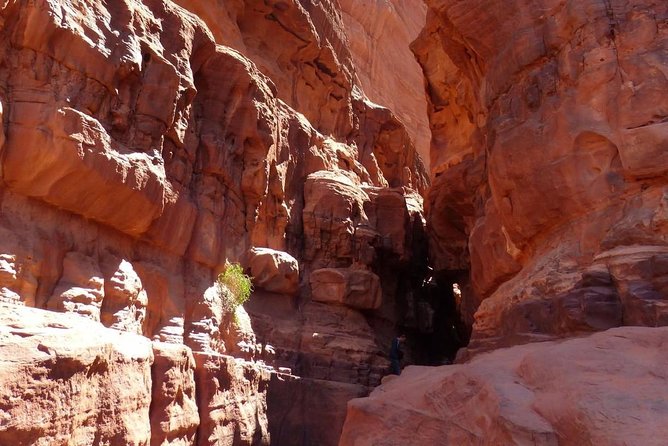 Wadi Rum: Camel Trek Adventure - The $91 price and what you receive