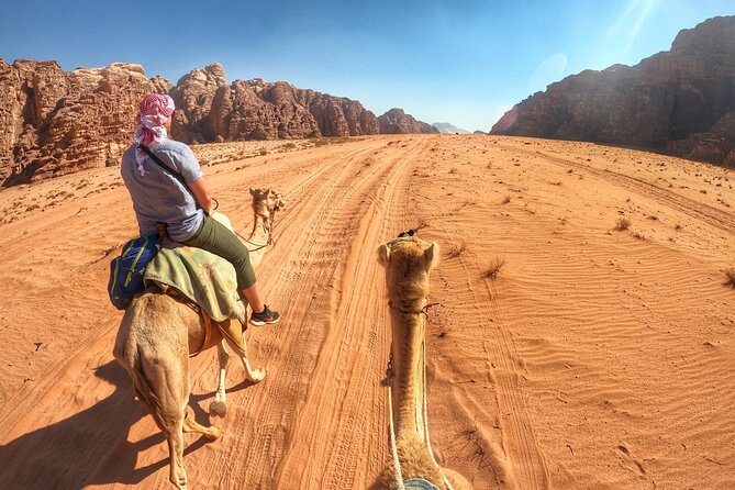 Wadi Rum: Camel Trek Adventure - Meeting at Wadi Rum Rest House