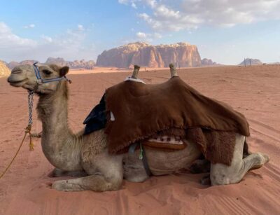 Wadi Rum Classic 4-Hour Jeep Safari