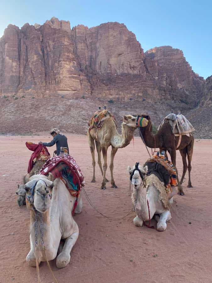Wadi Rum Classic 4-Hour Jeep Safari - Practical tips for a smoother outing