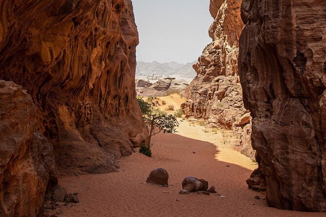 Wadi Rum Desert Tour with Lunch & Sunset - Khazali Canyon and Its Ancient Markings