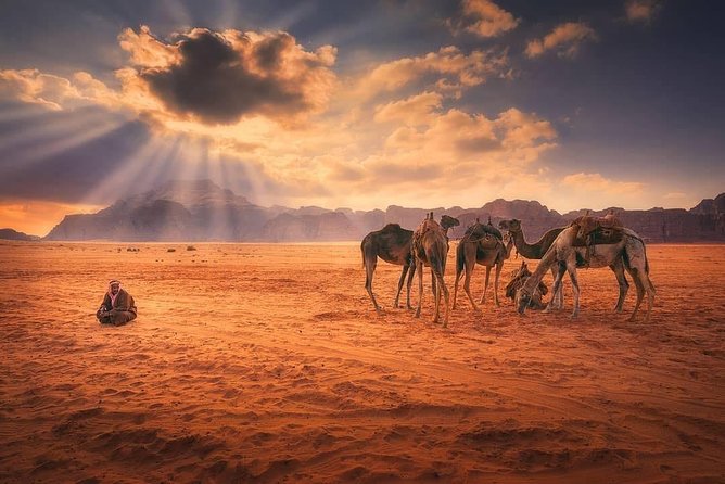 Wadi Rum Experience with Petra for 03 Days - 02 Nights From Eilat Border - Why this three-day route works