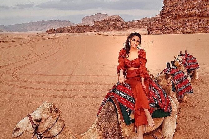 Wadi Rum Full-Day Private Tour from Amman or Airport - Entering the Wadi Rum Protected Area