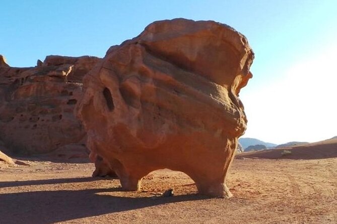 Wadi Rum Full-Day Private Tour from Amman or Airport - Bedouin tea, lunch, and the human touch