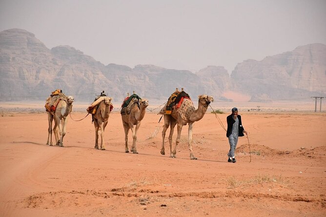 Wadi Rum Full-Day Private Tour from Amman or Airport - Returning to Amman or the airport