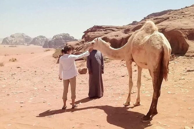 Wadi Rum Full-Day Private Tour from Amman or Airport - Who will enjoy this private desert day?