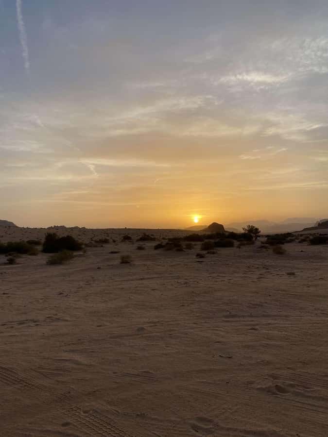 Wadi Rum:Full Day Tour Lunch Sand boarding Camel Ride Sunset - Al Ramal Red Sand Dunes and the sandboarding challenge