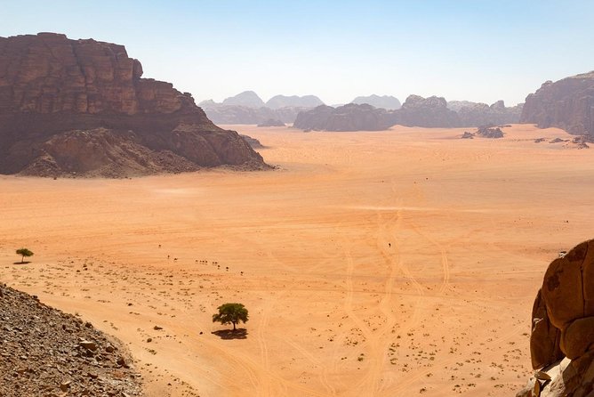 Wadi Rum: Full Day Valley Tour with Lunch - Rolling across Wadi Rum in a private 4x4