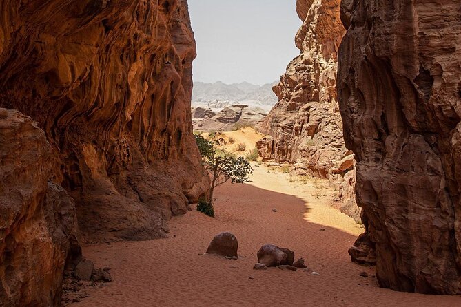 Wadi Rum Half-Day Desert Tour | Wadi Rum Desert - Rock bridges and Abu Khashaba Canyon