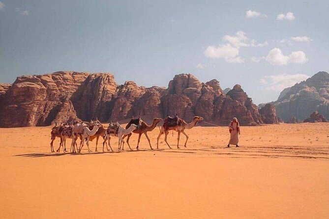 Wadi Rum Half Day From Aqaba Private Tour - Three Wadi Rum stops with real substance