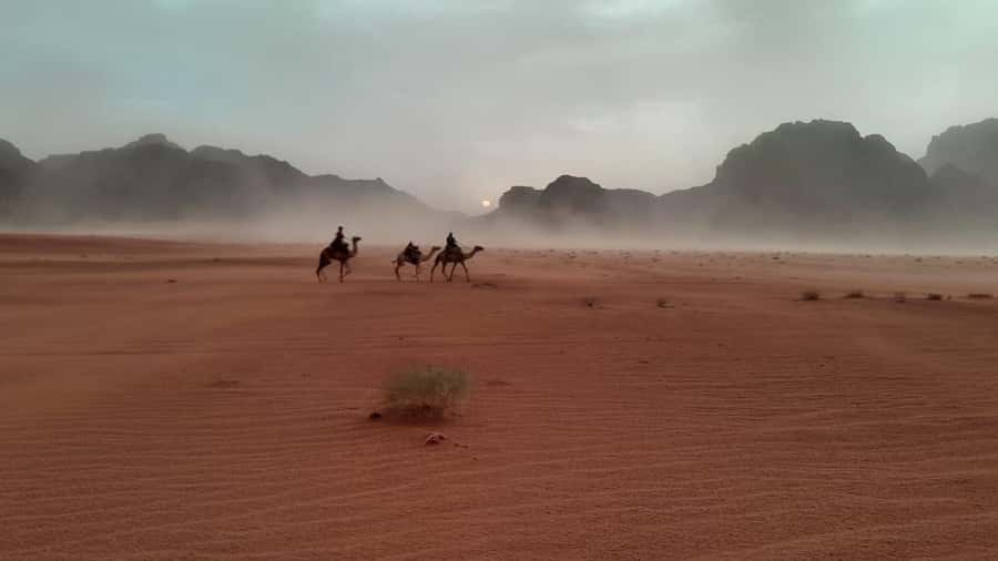Wadi Rum: Half Day Jeep Tour - - What to bring and what not to bring