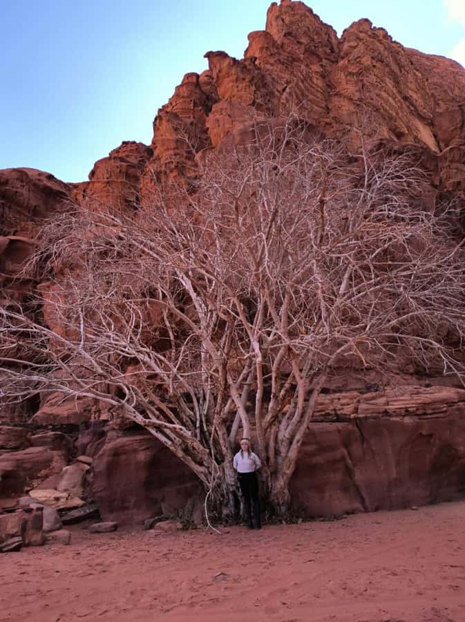 Wadi Rum: Morning or Sunset Jeep Tour - The afternoon finish: sunset and fire-brewed tea