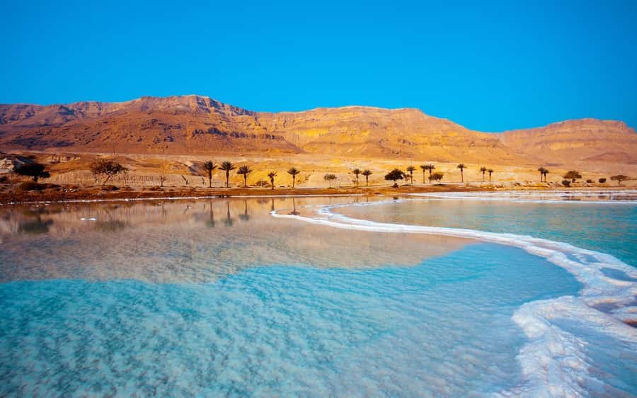 Whispers of Stone, Sand & Sea: Jordan in Four Days - Who should book this Jordan tour?